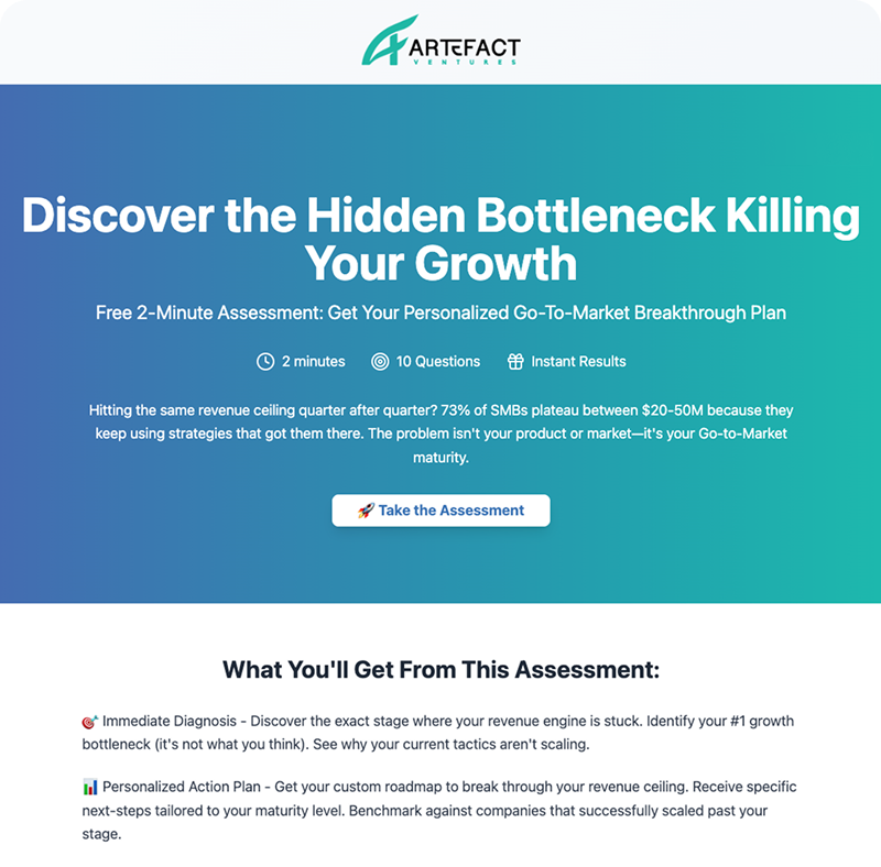 Free GTM Maturity Assessment - EN